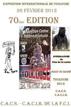 SITE WEB ELEVAGE DU CLOS DE LA LUETTE SPECIALISE POUR LE BOUVIER DES FLANDRES © COPYRIGHT DEPOSE